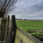 MidDelfland (4)