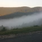 2015-06-27 07.00.18 (Large)
